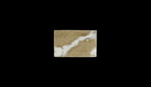 斑唐津掛分け薄板皿Speckled Karatsu Two Colored Thin Plate